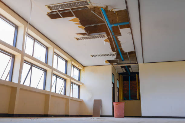 Best Flood restoration services  in Blue Springs, MO