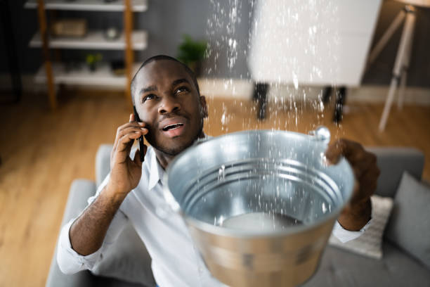 Best Water damage restoration near me  in Blue Springs, MO