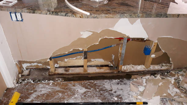 Best Local water damage restoration  in Blue Springs, MO