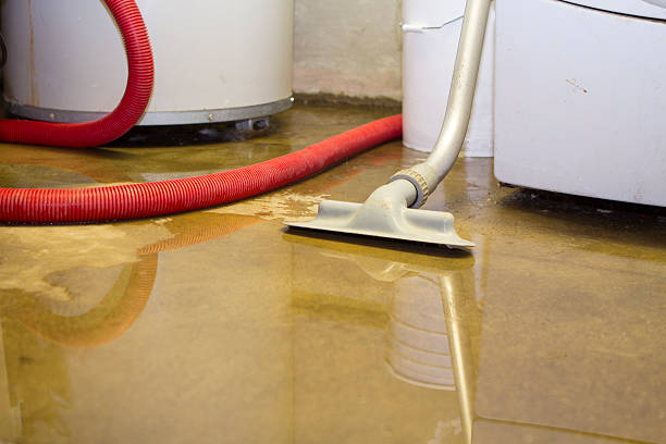 Best Water damage mitigation services  in Blue Springs, MO