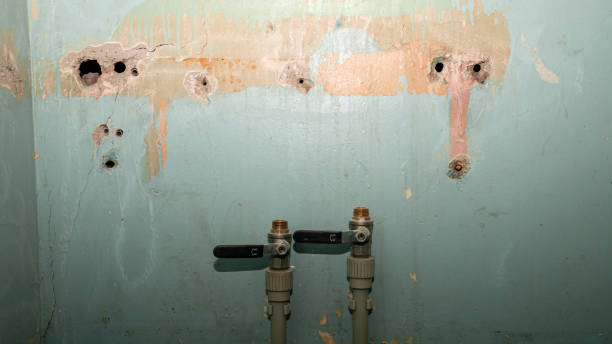 Professional Water damage restoration in Blue Springs, MO