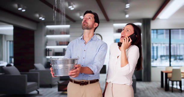 Best Flooded house restoration  in Blue Springs, MO