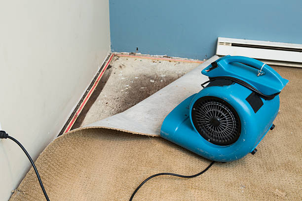 Best Flood restoration services  in Blue Springs, MO
